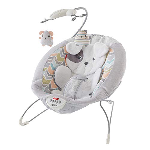 Fisher-Price Deluxe Bouncer: Sweet Dreams Snugapuppy, White, One Size (DTH04)